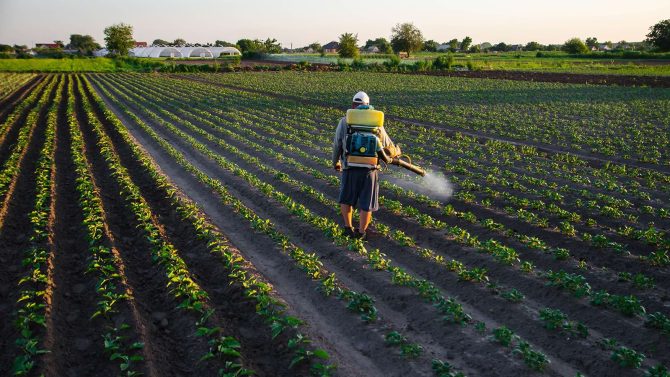 La povertà alimentare cresce, ma gli sprechi continuano: il Terzo settore collega eccedenze e bisogni