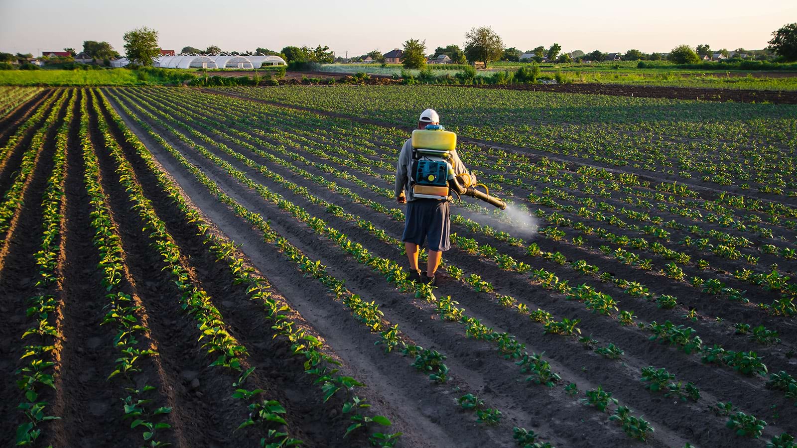 La povertà alimentare cresce, ma gli sprechi continuano: il Terzo settore collega eccedenze e bisogni